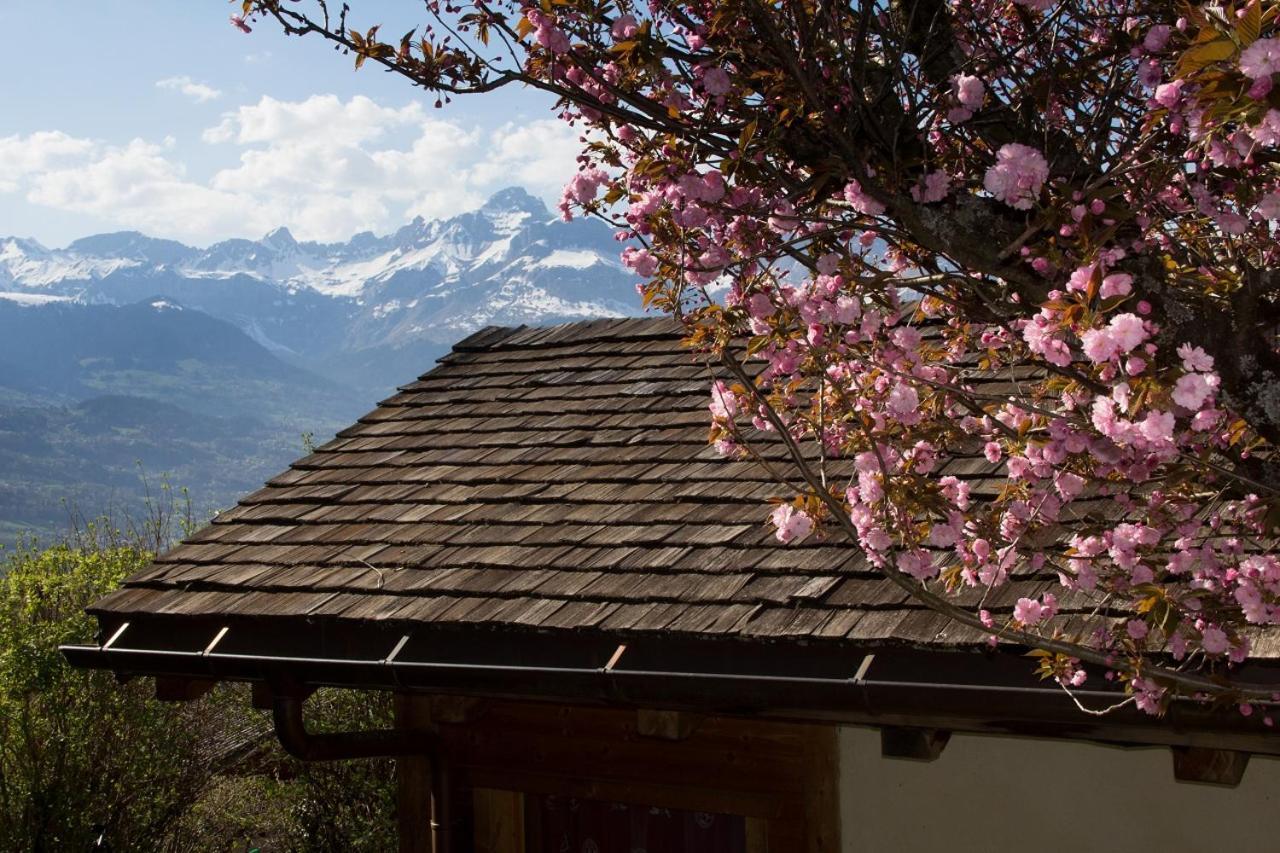Chalet Cosy Proche Tramway Du Mont-Blanc Et Centre Сен-Жерве-ле-Бен Екстериор снимка